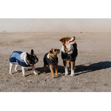 Cobertura para cão Je t'aime Equithème Preto Cobertura para cão Je t'aime Equithème Preto