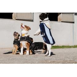 Cobertura para cão Je t'aime Equithème Preto Cobertura para cão Je t'aime Equithème Preto