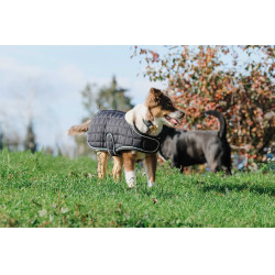 Cobertura para cão Je t'aime Equithème Preto Cobertura para cão Je t'aime Equithème Preto