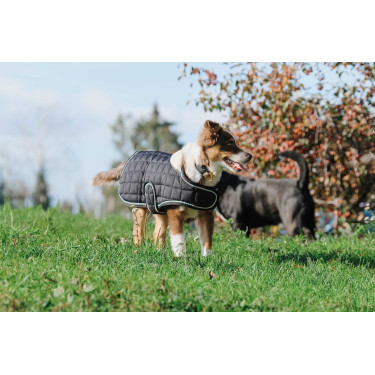 Cobertura para cão Je t'aime Equithème Preto Cobertura para cão Je t'aime Equithème Preto