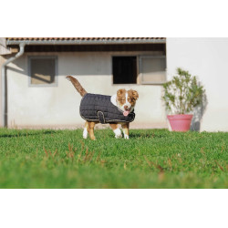 Cobertura para cão Je t'aime Equithème Preto Cobertura para cão Je t'aime Equithème Preto
