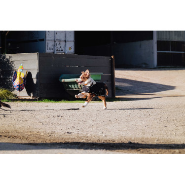 Cobertura para cão Je t'aime Equithème Preto Cobertura para cão Je t'aime Equithème Preto