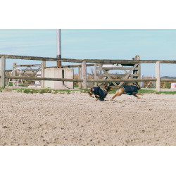 Camisa polar para cão Equithème Marinho Azul-marinho