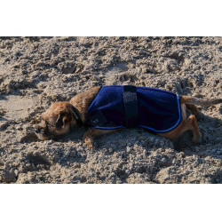 Camisa polar para cão Equithème Marinho Azul-marinho