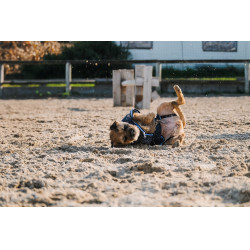 Camisa polar para cão Equithème Marinho Azul-marinho