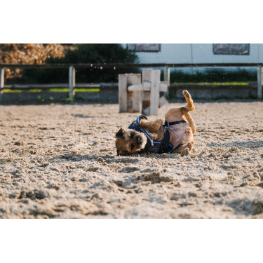 Camisa polar para cão Equithème Marinho Azul-marinho