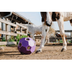 Bola anti-guloso para feno HIPPOTONIC Violeta
