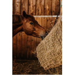 Rede para feno HIPPOTONIC - Natural Natural Castanho