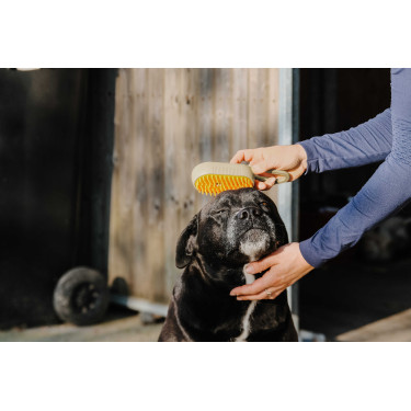 Rasqueadeira com cabo Hippotonic Vapeur Cinzento-acastanhado Castanho Rasqueadeira com cabo Hippotonic Vapeur Cinzento-acastanhado Castanho