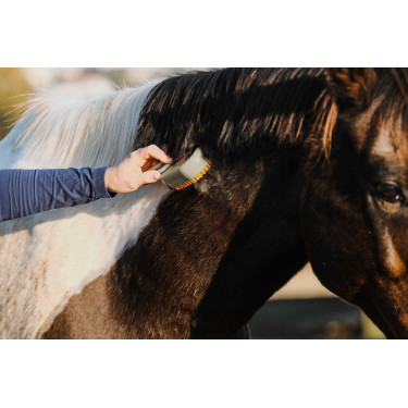 Rasqueadeira com cabo Hippotonic Vapeur Cinzento-acastanhado Castanho Rasqueadeira com cabo Hippotonic Vapeur Cinzento-acastanhado Castanho