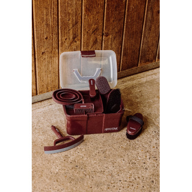 Escova para cabeça HIPPOTONIC - Glitter Bordéus Bord&amp;ocirc;