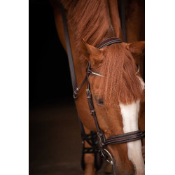 Bridão Pénélope Daily Strass SR Havana Castanho