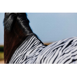 Camisa Riding World Belly Mesh Preto / branco padrão zebra Motivos