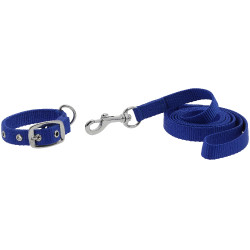 Coleira e trela para cão RIDING WORLD - Oscar Azul royal