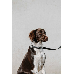 Coleira para cão EQUITHÈME - Nala Preto