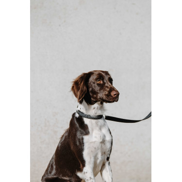Coleira para cão EQUITHÈME - Nala Preto