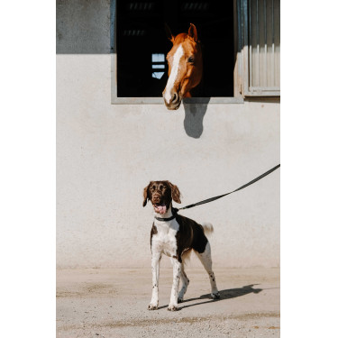 Coleira para cão EQUITHÈME - Nala Preto