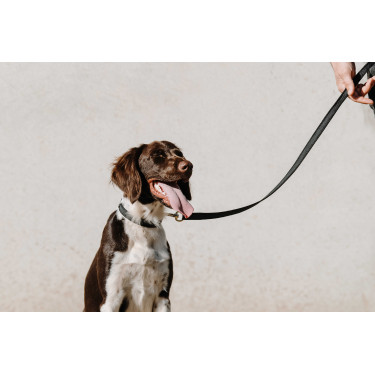 Coleira para cão EQUITHÈME - Nala Preto