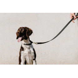 Coleira para cão EQUITHÈME - Nala Preto