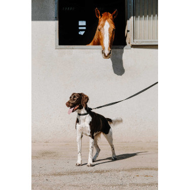Coleira para cão EQUITHÈME - Nala Preto