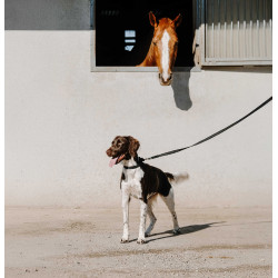 Coleira para cão EQUITHÈME - Nala Preto