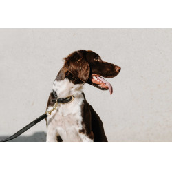 Coleira para cão EQUITHÈME - Nala Preto