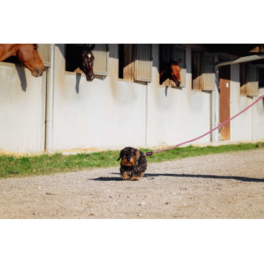 Trela para cão com pega RIDING WORLD - Lucky Rosa velho