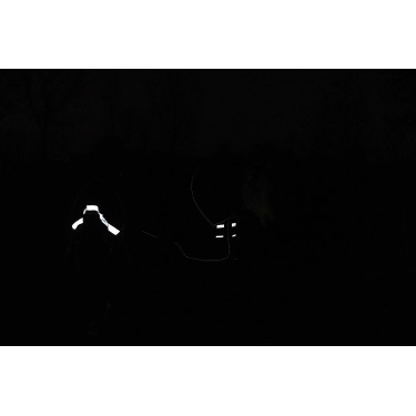 Capa Lami-Cell 1200D Armadillo Marinho Azul-marinho