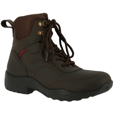Botas Norton Treck Castanho Botas Norton Treck Castanho
