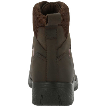 Botas Norton Treck Castanho Botas Norton Treck Castanho