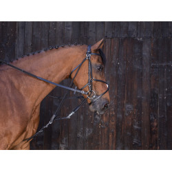 Gogue com roldanas Riding World Preto Gogue com roldanas Riding World Preto