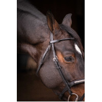 Bridão Pénélope Symphonie Preto