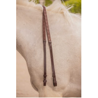 Renas Eden Pénélope Havana Castanho