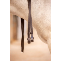 Renas Eden Pénélope Havana Castanho