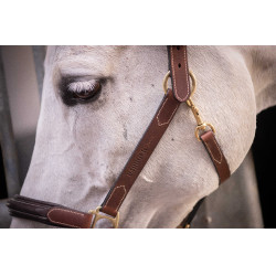 Caveção de couro com 3 mosquetões Paddock Sports Havana Castanho