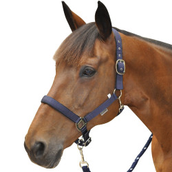 Cabresto Canter de nylon forrado Cabresto Canter de nylon forrado