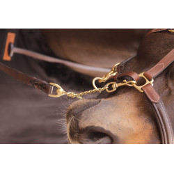 Longe de apresentação 2,25 m Paddock Sport Castanho