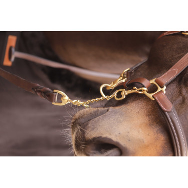 Longe de apresentação 2,25 m Paddock Sport Castanho