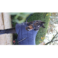 Manta de estábulo Lami-Cell Stable Master Marinho Azul-marinho