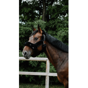 Caveção Je t'aime Equithème Snuggy Preto