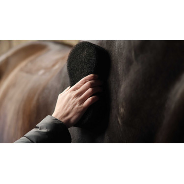 Esponja Lami-Cell Shine scrubber Preto