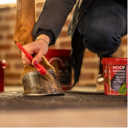 Kevin Bacon's Hoof Dressing Winter graxa para cascos Kevin Bacon's Hoof Dressing Winter graxa para cascos