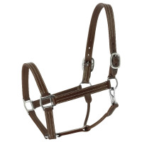 Cabresto Norton US Havana Castanho