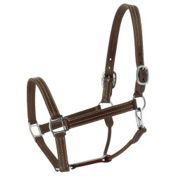 Cabresto Norton US Havana Castanho