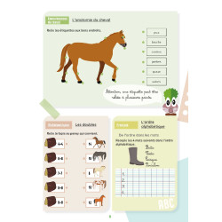 Meu Caderno de Atividades Lavauzelle Nível CP