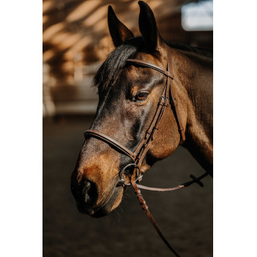 Bridon Norton Hunter macio Castanho
