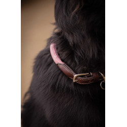 Coleira para cão Penelope Billie Rosa / lurex