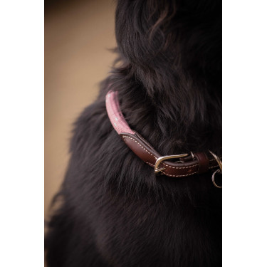 Coleira para cão Penelope Billie Rosa / lurex Coleira para cão Penelope Billie Rosa / lurex