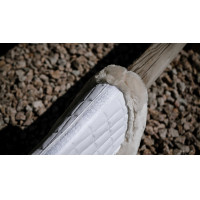 Amortecedor Equithème Combo Master