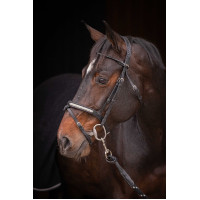 Bridão Pénélope Symphonie Havana Castanho